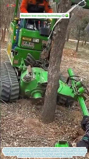 🤯This Amazing Machine Moves Massive Trees Without Damaging Roots🌳⚙️