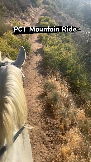80 reactions · 8 comments | Conditioning ride along the Pacific Crest Trail in the Tehachapi Mountains. ️ 5 miles, with a 900 feet climb, steep and very narrow at times, quite a drop off the mountain side. #lthmulan #lthviva3 #lthsharif #ltharabianrescue #endurancetraining #enduranceriding #arabianhorse #arabian_horse #arabianrescuehorses #horses #horsesofinstagram | Love this Horse, Equine Rescue Inc. | Facebook