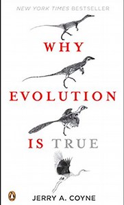 Natural Sciences Materials, Handouts, Activities