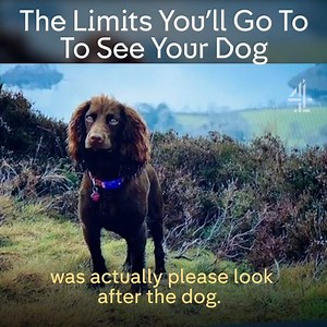 325K views · 1.7K reactions | How could you not miss something that adorable?! Hunted, See the final Tonight 9pm on C4 and stream now on All 4. | Channel 4 | Facebook