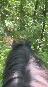 5.7K views · 461 reactions | Here we are at Magnolia Bluff County Park! | IamGlytja | Facebook