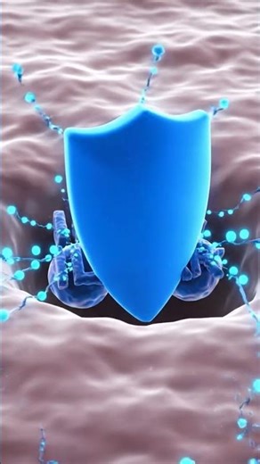 Asthma AntiIL13 Mechanism
