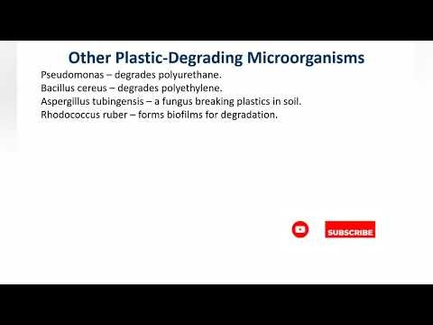 🧬 Plastic-Eating Bacteria: The Tiny Heroes Cleaning Our Planet!