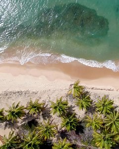 🏝️ ¡La isla te espera! Vive la Maratón 7 Colores Decameron y disfruta de San Andrés con nuestro plan Todo Incluido. Corre, celebra y relájate frente al mar más hermoso del Caribe. 🌊✨Reserva ahora. | Decameron Colombia