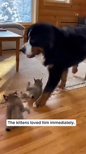 Avengers Family on Reels