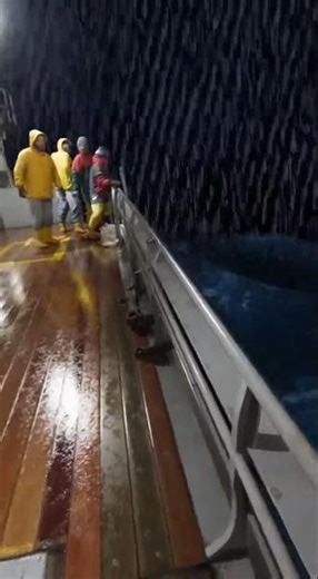 #OceanClips #DeepOcean #DangerousSea #MarineLife