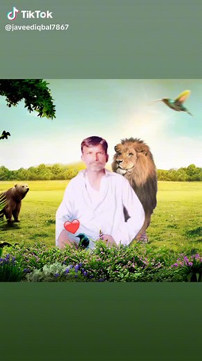 TV bbbbbbbb on TikTok