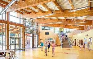 Why Wood is an Effective Material for Schools