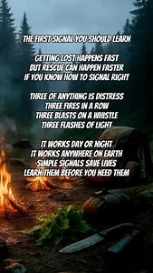 5.1K reactions · 1.3K shares | Three of anything is a universal...