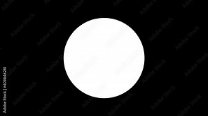 Pie charts animation. percent circle round donut chart infographic. Colorful infographic on a white background. animation with optional luma matte.