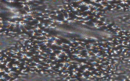 粒子系统搭建的液体波动制作教程 2D Particle Systems (Fluid Simulation) in Touchdesigner