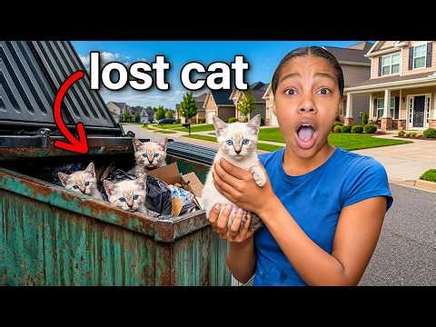 We Found A Lost Kitten Alone...