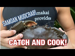 SAMOAN MUD CRAB CATCH N COOK!!!