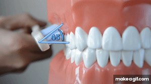 Proper Brushing Technique  How to Brush your teeth on Make a GIF