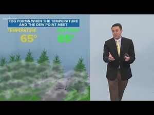 How fog forms and how it goes away | Weather Minds