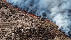 97K views · 580 reactions | Our Firefighters are continuing to tackle...