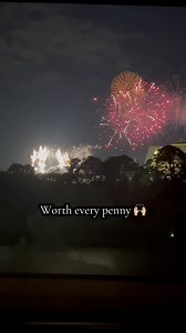 88K views · 1K reactions | POV: You splurged for a firework-view room...