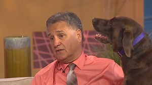 Ask a Vet: Animals on arthritis medicine