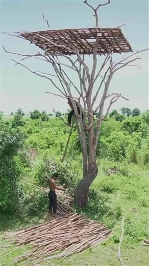 Building Epic Treehouse - DIY Project That Will Blow Your Mind