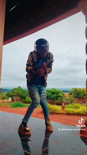 #dancechallenge tiktok the king fu dance