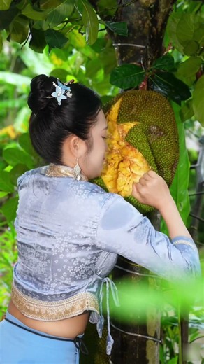 Harvesting, Cutting & Eating Fresh Jackfruit on the Tree #fruit