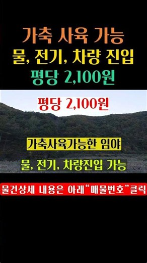 [1582] Small-scale forest land for sale at 2,100 KRW per pyeong