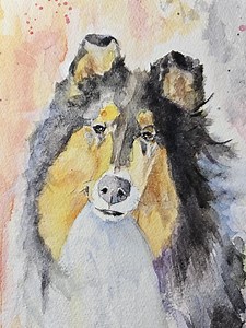 Original Rough Collie Watercolor Painting: "tri Tribute" (10x14) - Etsy