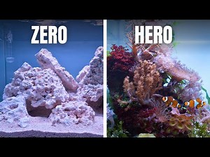 COMPLETE SALTWATER AQUARIUM BEGINNERS GUIDE - EP1: Equipment & Hardscape