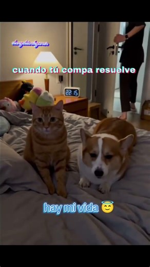 así son los compas @danielgameplays20 #amistades #compas #diversión #fypシ