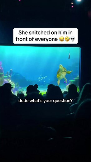 703K views · 10K reactions | They won’t be friends after this ♥️ #turtletalkwithcrush #disneyland #californiaadventure #disneyworld | Turtle Crush Talk | Facebook