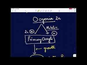 OOGENESIS Female Reproductive System explained by Dr Rahul Rai star pmt tutorials