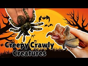 Creepy Crawly Creatures | Halloween Song with Animal Learning Facts for Kids