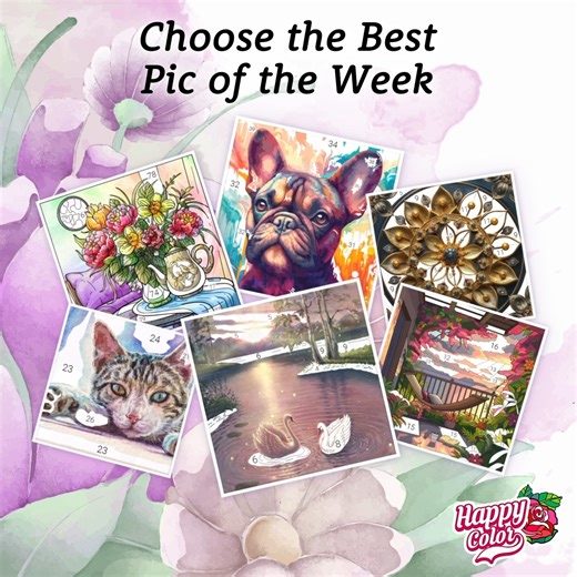 Hey, Happy Color artists! 🌻 Let’s enjoy our weekend and choose the best pic of the week! We have 6 amazing images here — pick the best one for you in the comments below! 👇 #coloring #happycolor #paintbynumbers #colorbynumber | Happy Color - Color by Number