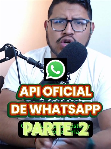 API Oficial de WhatsApp: Cómo Funciona y Conectarse