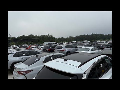 Live auto auction , Maryland USA