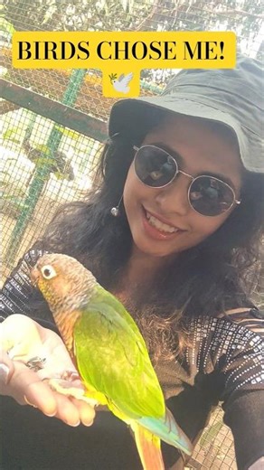 A Bird Ate From My Hand… Then Sat on My Head 🦜💛