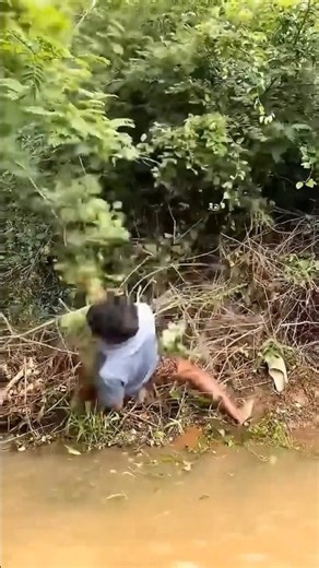 TIMELAPSE: Solomon Cabin Build From Start to Finish