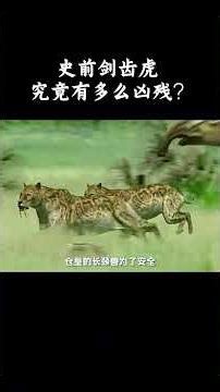 史前剑齿虎究竟有多么凶残？！ #趣聞 #大陸 #动物科普