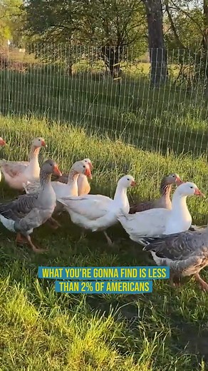 The Mechanization of Agriculture #agriculture #history #mechanization #ai #farmlife | Gold Shaw Farm