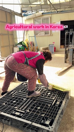 Exploring Agricultural Work in South Korea