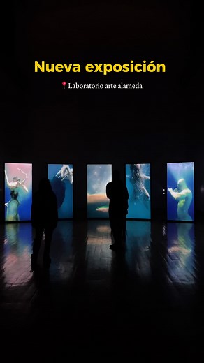 Expo en Laboratorio Arte Alameda 🤖 #cdmx #dondeir #arte #IA #cultura #dondeircdmx #actividades #quehacer #museum #difusion #museos #inteligenciaartificial