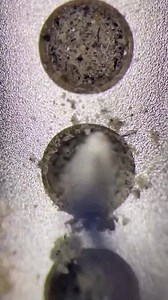 377K views · 419 reactions | Clean the iPhone anti-dust mesh | 2UUL REPAIR | Facebook