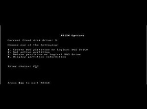 using FDISK