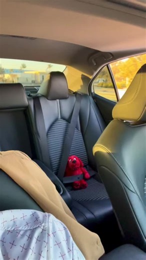 Enjoying Sunset Cruises with Clifford's Favorite Songs