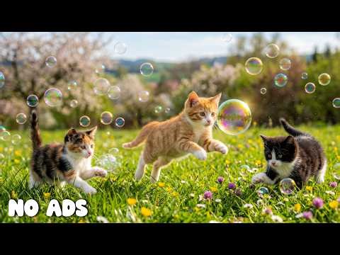 This Music Instantly Calms Cats 🐾🌙 12 HOURS Relaxing Cat Sleep Sounds 🌙 No ADS