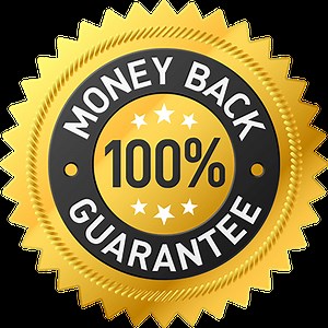 Queens Pest Control Services | #1 Local Queens Exterminator