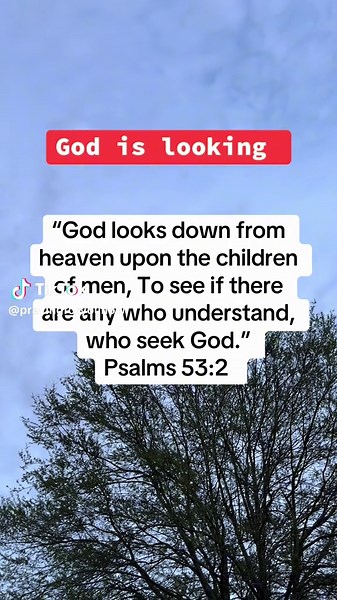 Understanding God's Search for Seekers: Psalm 53:2