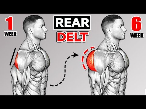 9 BEST REAR DELT WORKOUT YOU CAN DO AT GYM