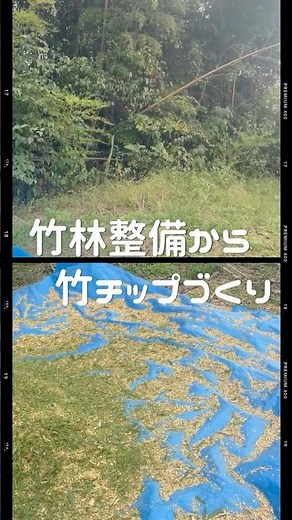 「放置竹林」から見えた新しい資源の形｜竹チップづくり体験 #循環する暮らし #自然素材のある暮らし #竹林整備