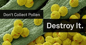 Until now air purifiers have only collected pollen on filters. But pollen on a filter is still pollen in your home. Molekule is a revolutionary new air purifier that breaks down pollen and other allergens at the molecular level and completely removes them from the air you breathe. | Molekule | Facebook